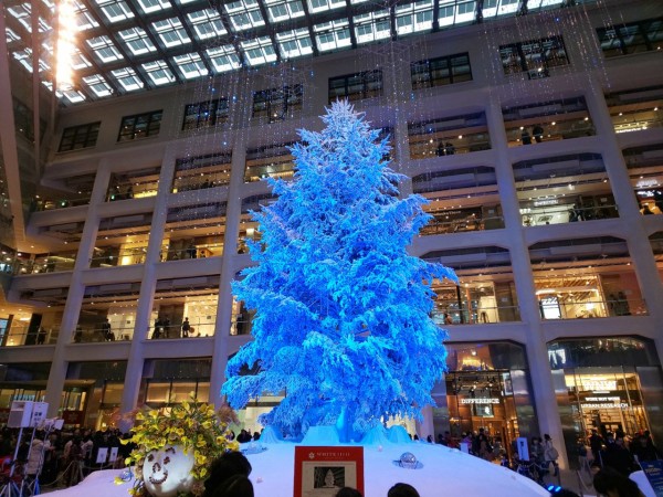 東京都 千代田区 丸ノ内イルミネーション 丸ノ内のクリスマスツリー を見にイッテq 大食いグルメなランチ