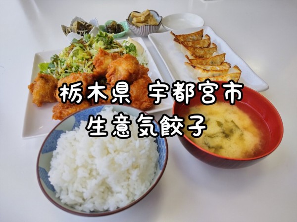 栃木県 宇都宮市 生意気餃子 安くてボリューミーな鶏から揚げ定食と生意気餃子 大食いグルメなランチ