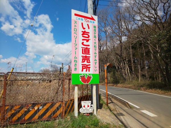 茨城県 小美玉市 Cafe Luomu カフェルオム となりのトトロが本当に出てきそうなカフェでワンプレートランチです 大食いグルメなランチ