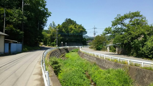 栃木県 鹿沼市 宮入そば 緑モンスターストライク的な鹿沼名物ニラそば ２ 大食いグルメなランチ