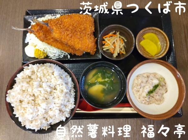 茨城県】【つくば市】「自然薯料理 福々亭」山からの恵 自然薯料理のお店 2021年新店７３ : 大食いグルメなランチ