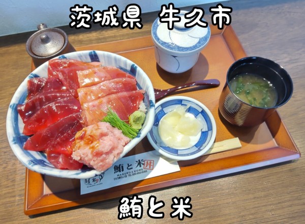 茨城県 牛久市 鮪と米 鮪丼の専門店が新規オープン 22年新店 ６ 大食いグルメなランチ