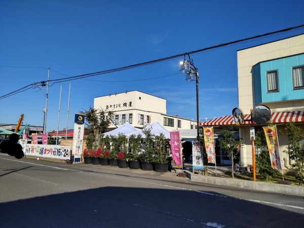 栃木県 小山市 蛸屋 工場直売 おかしパーク 詰め放題 蛸屋さんのお菓子のテーマパーク 21年新店61 大食いグルメなランチ 栃木県 小山市 蛸屋 工場直売 おかしパーク 詰め放題 蛸屋さんのお菓子のテーマパーク 21年新店61 大食いグルメなランチ