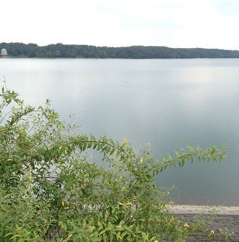 雑談 狭山 入間方面おでかけ 子供と動物のイラスト屋さん イラストレーターわたなべふみ のブログ