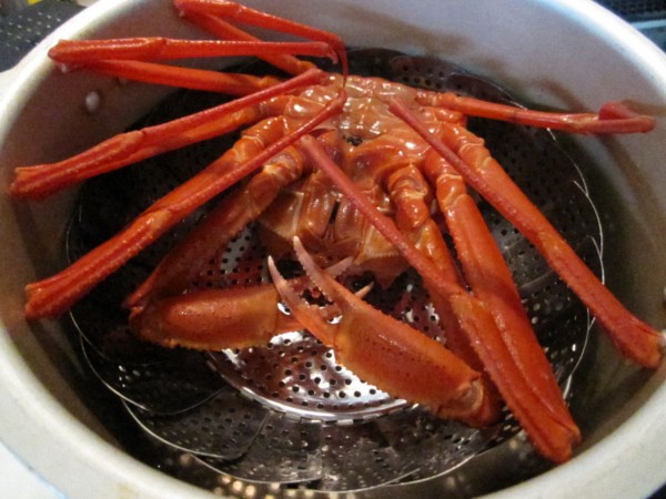 紅ズワイガニの特売 北海道で蟹が安くなる かも 活かに購入 節約ライフを楽しまなきゃ