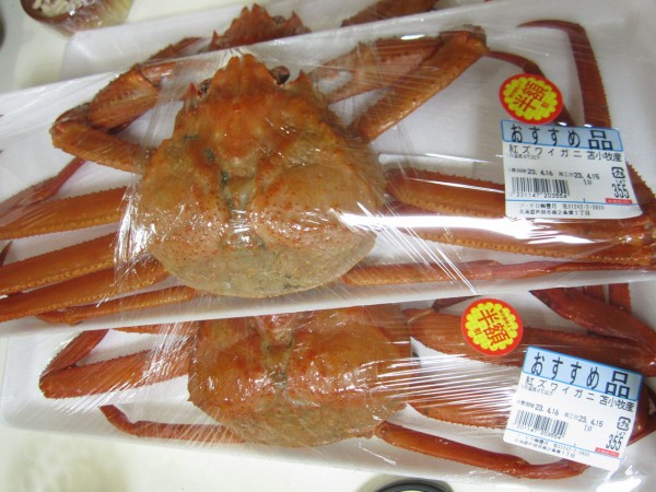 紅ズワイガニの特売 北海道で蟹が安くなる かも 活かに購入 節約ライフを楽しまなきゃ