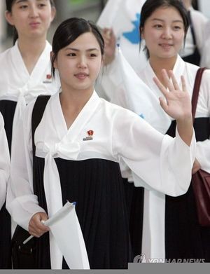 北朝鮮のアダルト 