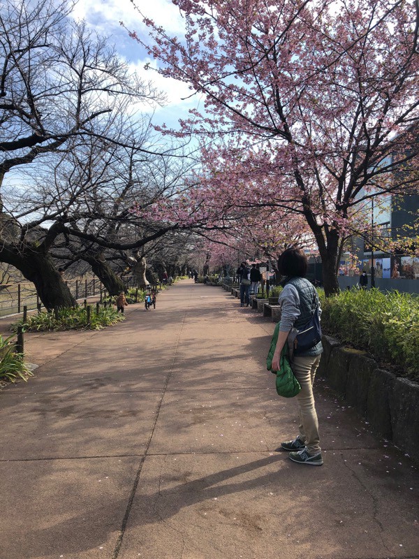 大きなタマネギの下は春の兆し 北の丸公園散策 ソラミチ 空の下の路の上から