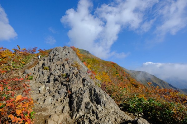 谷川岳大バカ野郎の50年: 3000日山に登った登山界の暴れん坊