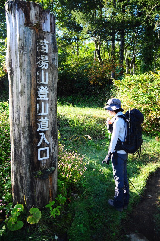 草紅葉燃えた 苗場山 ソラミチ 空の下の路の上から