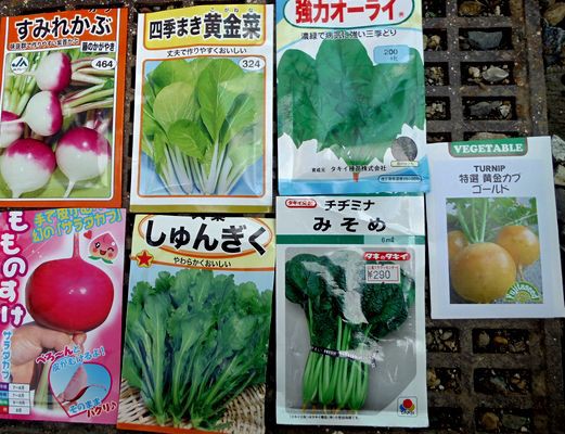 冬野菜の種まき等 Furuutuの気ままな家庭菜園日誌