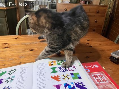 8月のサンプラーパターン「ヨット」＆テトちゃんはパターンブック好き