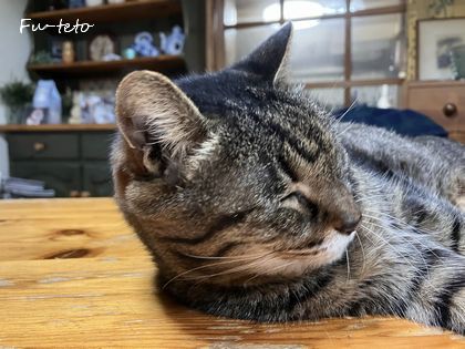 キルト　タペストリー　ねこ 444.【キット】ネコとハートのタペストリー | 「ハッピーキルト」