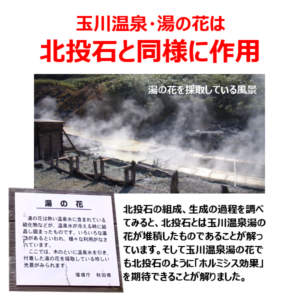 TV番組でも紹介された「玉川温泉」知っていますか？ : 眠り