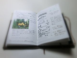 A6ライフログノート : ほぼ週刊ふじいかず