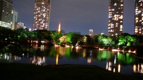 浜離宮恩賜庭園の夜景 青山の昼と千駄木の夜 浜離宮恩賜庭園の夜景 青山の昼と千駄木の夜