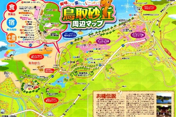 鳥取砂丘 砂が動く 生きてる砂丘が見られる 鳥取旅行 ウィッシュのなんでも探偵団
