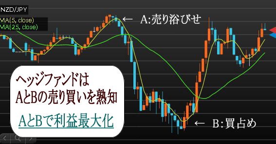 ヘッジファンドの売り浴びせと買占め Fx初心者の悪戦苦闘