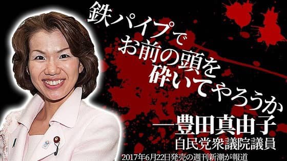 野獣先輩 24歳 学生です 豊田議員 違うだろー ﾎﾞｺｫ Nanじぇい