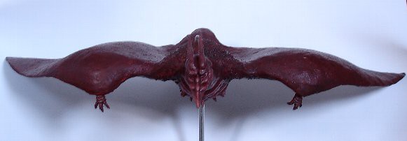 空の大怪獣ラドン : 怪獣人生