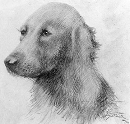 ヒトラーが描いた犬の絵ww Ww Ww Ww ガバガバ歴史速報