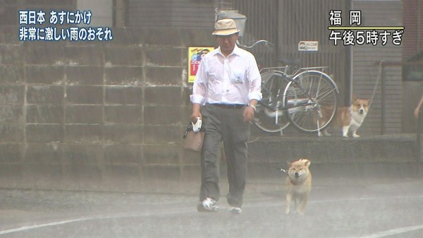 イッヌ 人間やんけ 一緒に寝たろ ガバガバ歴史速報