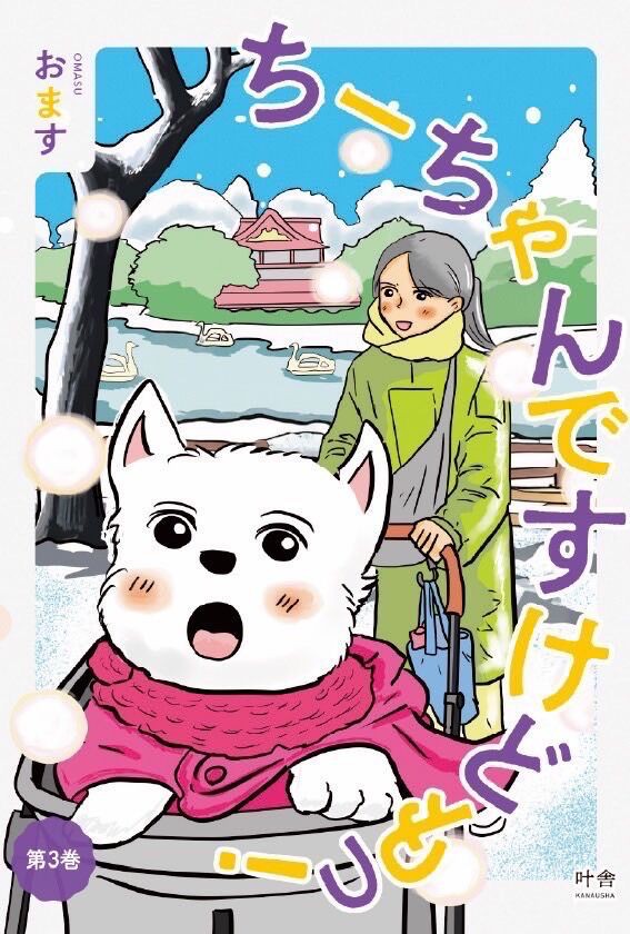 🐶 【今年最後のご挨拶】ちーちゃんと過ごした一年、そしてシニア犬と