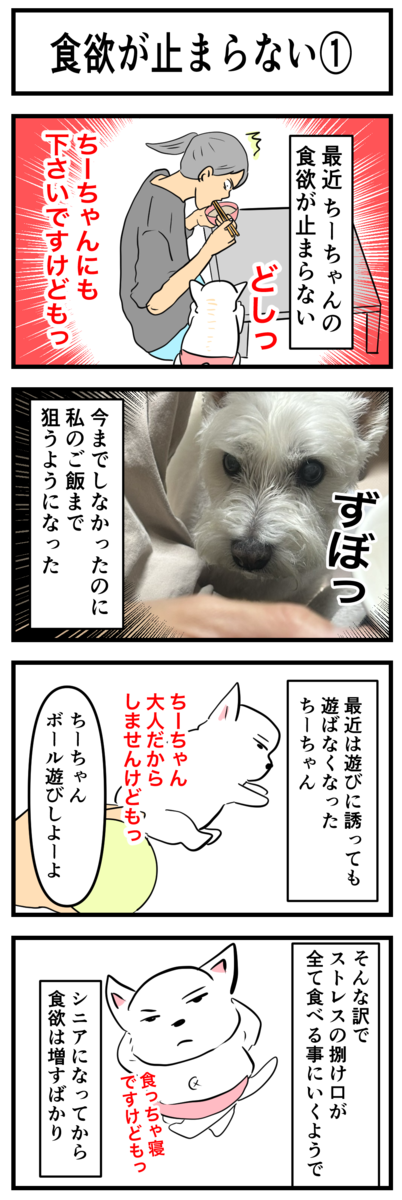 🐶食欲が止まらないちーちゃん🐾 : ちーちゃんっ🐾