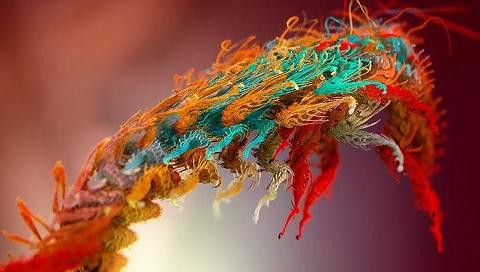 Psp壁紙 ｉｐｈｏｎｅ ３ｇ用壁紙サイトの数件をｐｓｐ壁紙サイズにアレンジしてみた インド人ゲーマーのガジェットライフ