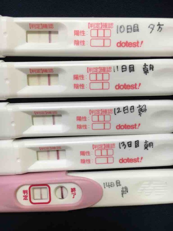 高温期14日目 フライングpチェック 低身長 肥満のガーコ 双子ちゃんがやってきた