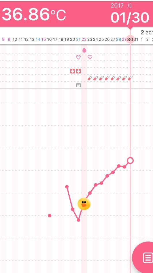 D29 高温期8日目 まだ上がる体温 低身長 肥満のガーコ 双子ちゃんがやってきた