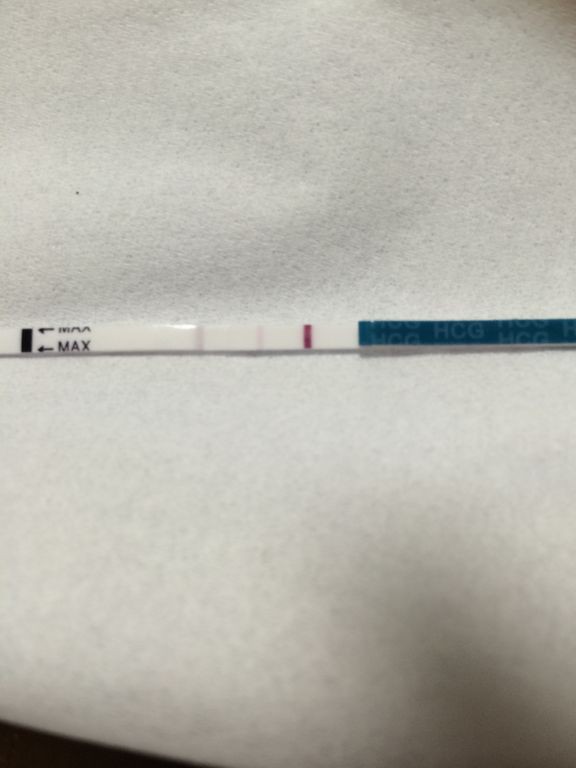 D33 高温期14日目 Wondfo妊娠検査薬 低身長 肥満のガーコ 双子ちゃんがやってきた