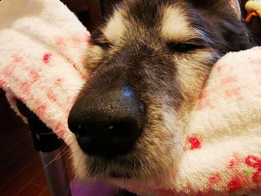 今日は食欲がないなぁ 俺 岳です