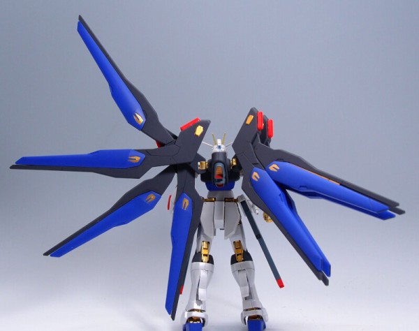 HGCE ストライクフリーダムガンダム 光の翼DXエディション : G