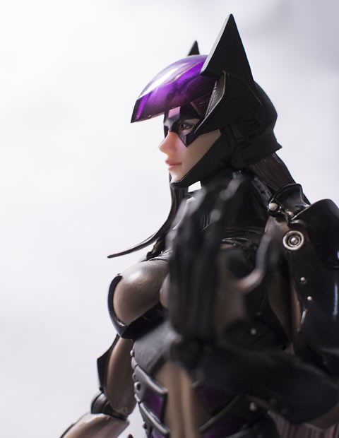 日本よ、これが猫娘だ！ : a-HOBBY