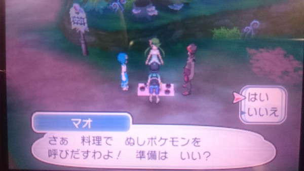 3ds ポケモン ムーン プレイ日記 試練4つ目 マオの試練 アーカラ島 ゲームは脳力 能力をアップさせる至高のエンターテインメント ゲームをすると馬鹿になるなんて言わせない