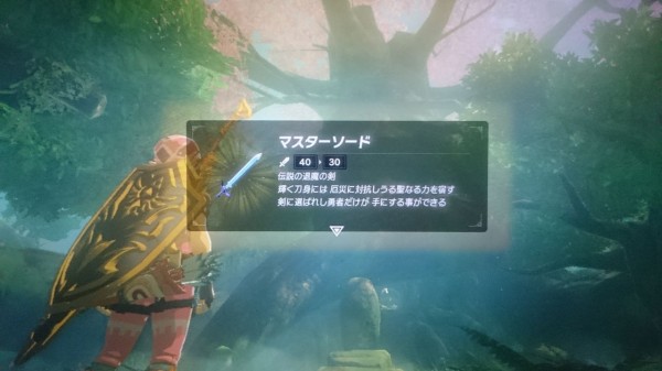 Nsw ゼルダの伝説 ブレスオブザワイルド プレイ日記 退魔の剣 マスターソードを引き抜こう ゲームは脳力 能力をアップさせる至高のエンターテインメント ゲームをすると馬鹿になるなんて言わせない