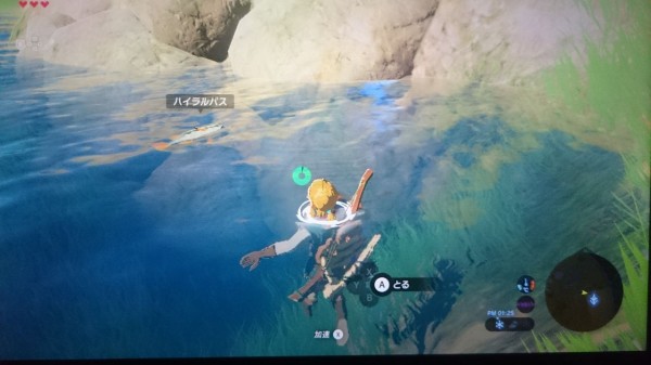 Nsw ゼルダの伝説 ブレスオブザワイルド プレイ日記 魚は爆弾で気絶させると簡単に捕まえられる ゲームは脳力 能力をアップさせる至高のエンターテインメント ゲームをすると馬鹿になるなんて言わせない