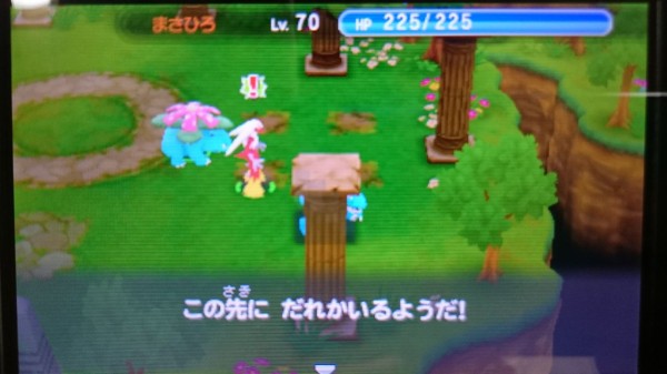 3ds 超ポケダンプレイ日記 ディアルガ パルキア レックウザは3連戦 ゲームは脳力 能力をアップさせる至高のエンターテインメント ゲームをすると馬鹿になるなんて言わせない