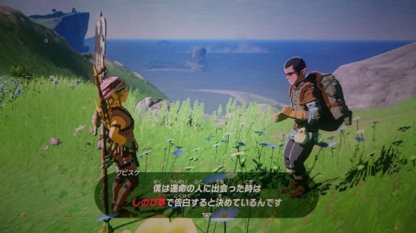 Nsw ゼルダの伝説 ブレスオブザワイルド プレイ日記 しのび草の君 しのび草はこの付近にも生えている ゲームは脳力 能力をアップさせる至高のエンターテインメント ゲームをすると馬鹿になるなんて言わせない