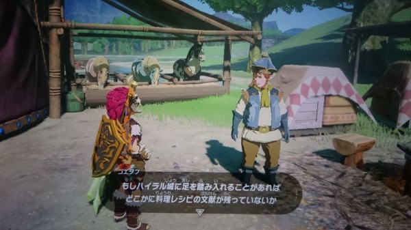 Nsw ゼルダの伝説 ブレスオブザワイルド プレイ日記 王家秘伝のレシピ 作る料理は一つでok ゲームは脳力 能力をアップさせる至高のエンターテインメント ゲームをすると馬鹿になるなんて言わせない