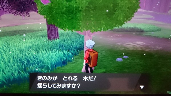 Nsw ポケモン 剣盾 ソードシールド プレイ日記 ワイルドエリアを通ってエンジンシティに向かう 19 11 追記 ゲームは脳力 能力をアップさせる至高のエンターテインメント ゲームをすると馬鹿になるなんて言わせない
