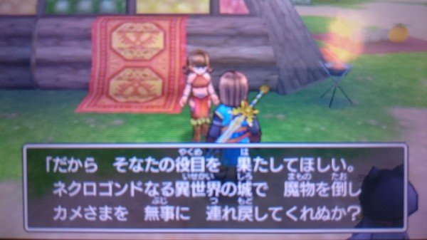 3ds ドラクエ11 プレイ日記 クエストno 54 消えたカメさま ゲームは脳力 能力をアップさせる至高のエンターテインメント ゲームをすると馬鹿になるなんて言わせない