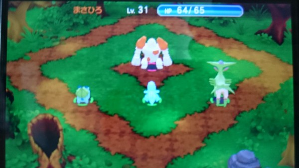 3ds 超ポケダンプレイ日記 レジロック レジアイス レジスチル レジギガス レジ四体にはこう挑め ゲームは脳力 能力をアップさせる至高のエンターテインメント ゲームをすると馬鹿になるなんて言わせない