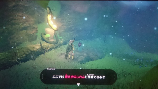 Nsw ゼルダの伝説 ブレスオブザワイルド プレイ日記 燃えずのしれん 柵の外に出ないように道なりに進めばok ゲームは脳力 能力をアップさせる至高のエンターテインメント ゲームをすると馬鹿になるなんて言わせない