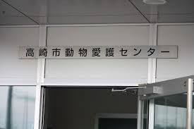 チワワなど人気ペット犬が群馬県高崎市の山間部で計１１匹遺棄 高崎市動物愛護センターが保護し動物愛護団体 群馬わんにゃんネットワーク が憤り 速報 ニュース Com