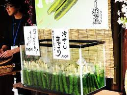 静岡市の安倍川花火大会の露店の 冷やしキュウリ で腸管出血性大腸菌 ｏ １５７ が検出 ネットで話題なやちゅw