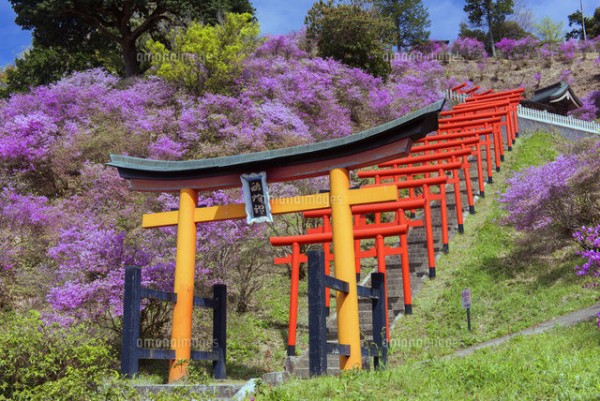 獅子崎稲荷神社 関西の驚き絶景