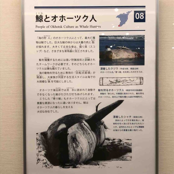オホーツク博物館part2 ガレージライフを夢見る男