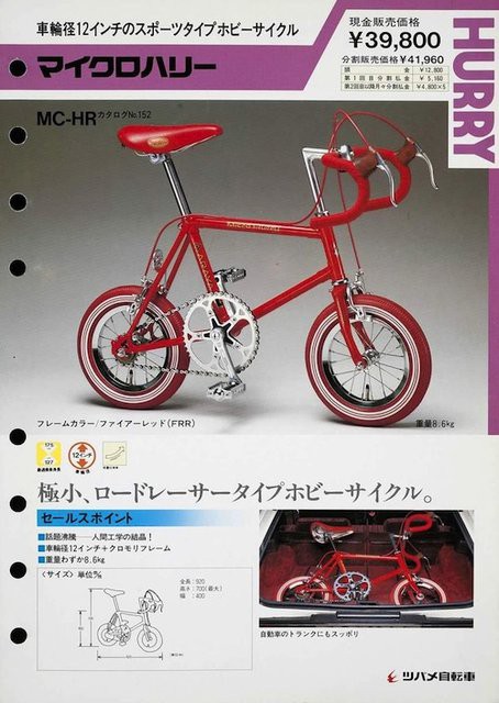 1976 アラヤ マイクロハリー 12
